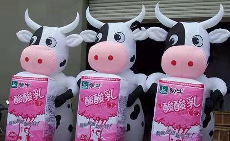 阳原牛奶厂广告气模